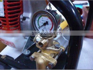 Portable Power Sprayer OS-P768