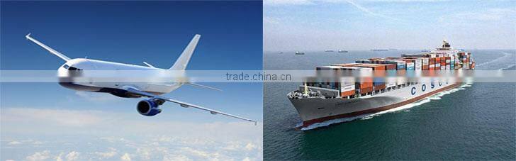 road bike or mountain bike cycling jersey bib shorts