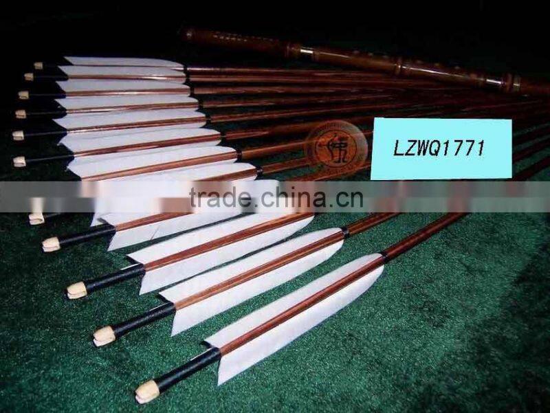 Feather Arrows LZWQ1764