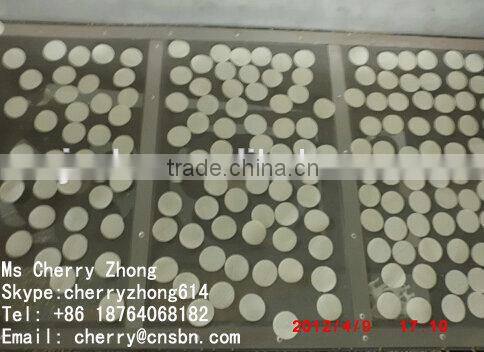 Thailand Rice Crackers Production Line