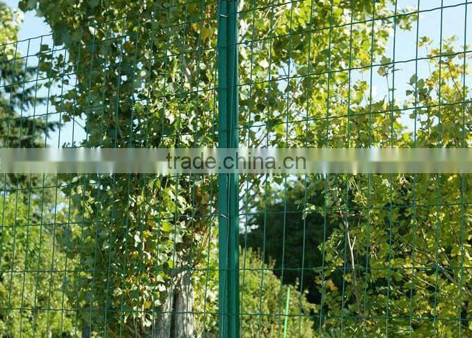 Holland electric welded wire mesh/best quality/hot sales