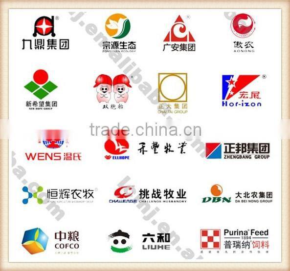 lochamp hot sale fertilizer bagging machine