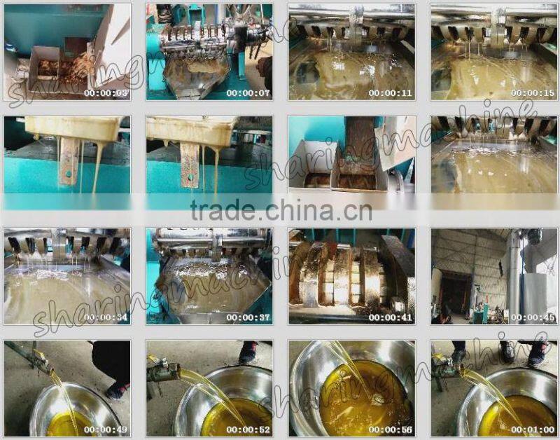 Cold&Hot press groundnut oil expeller machine with advanced oil making technonogy