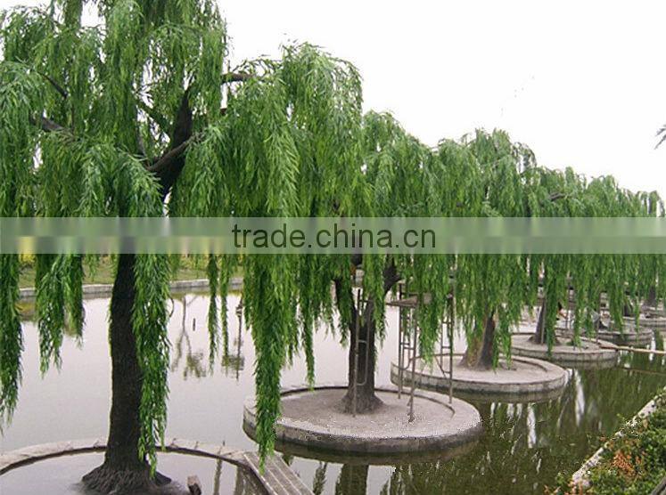 Artificial Weeping Willow tree/high simulation willows