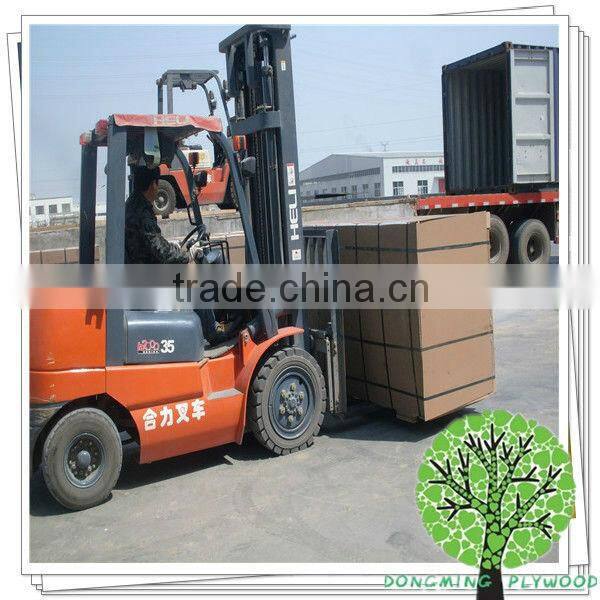 Falcata Core Blockboard