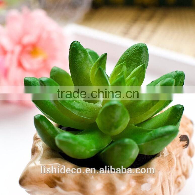 Latest Design Wholesale Artificial Mini Succulents Artificial Succulent Plants