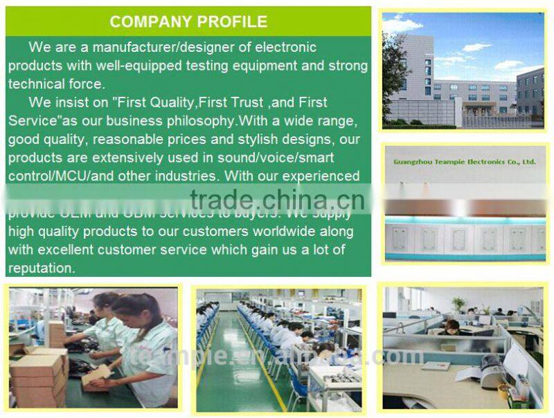 motion sensor recordable sound module