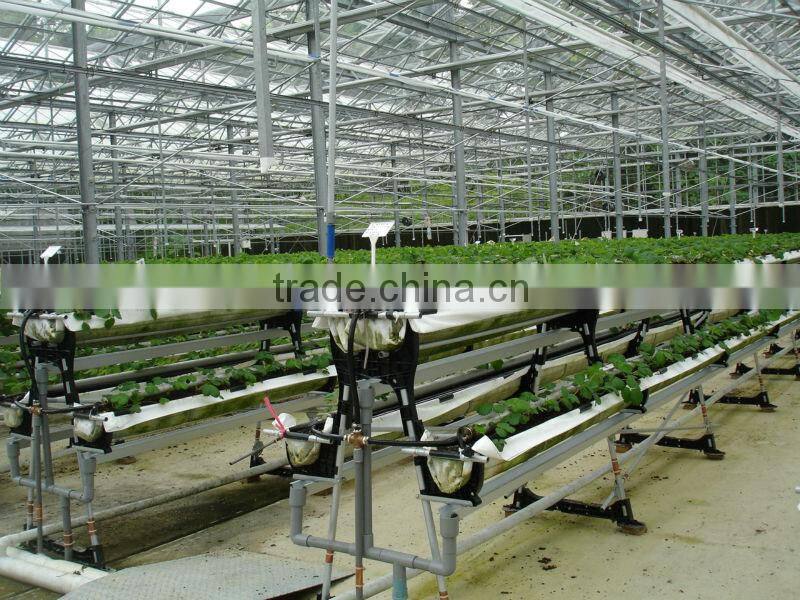 hydroponic NFT growing system greenhouse