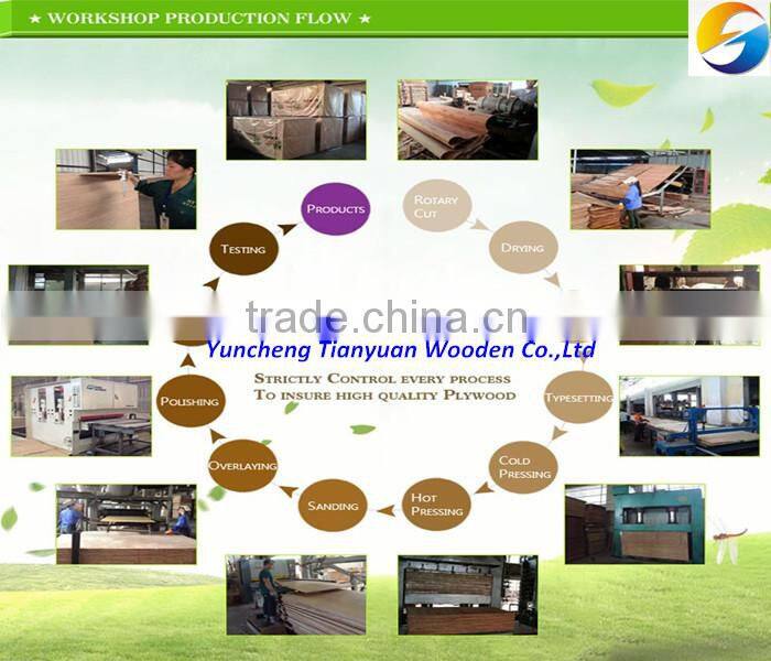 Oak/Okoume/Bintangor/Poplar Face Falcata Core Blockboard