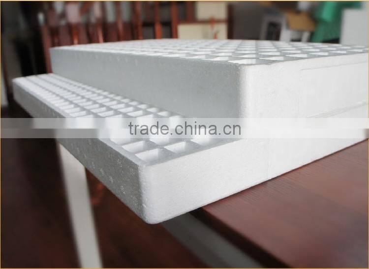 EPS plastic motocycle helmet mould fruit Box made in China