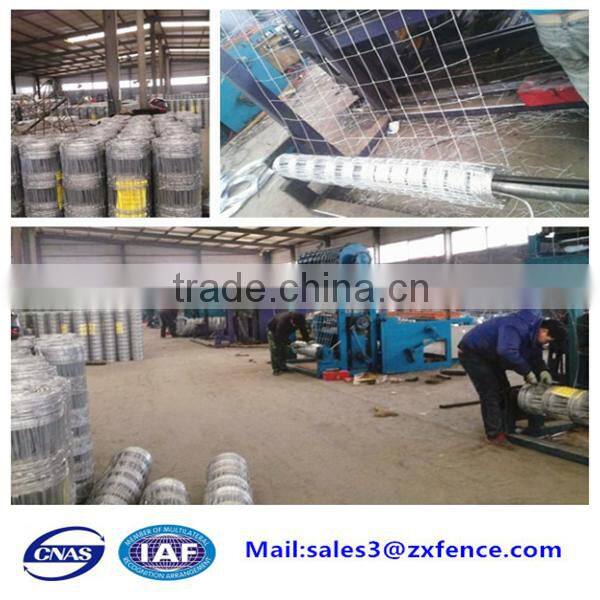 Low price grassland fence,deer fence,cattle fence,sheep fence factory direct