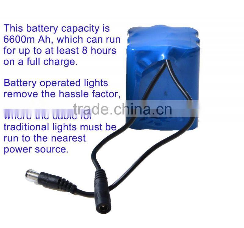 Fiber optic christmas lights.6 color or twinkle white color change