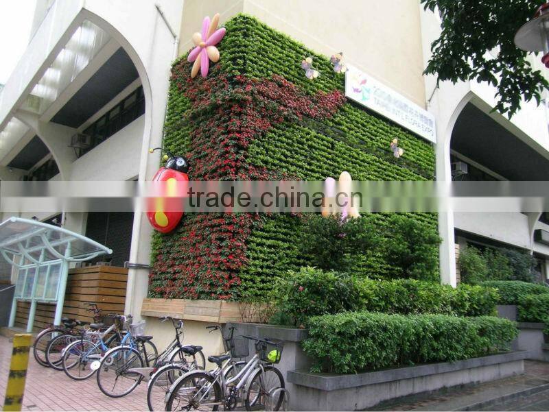 Widely use beautiful garden green wall
