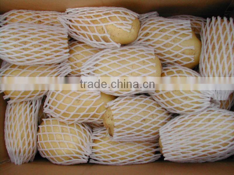 2015 new crop of fresh potatos mesh bag packing potato from China for wholesale