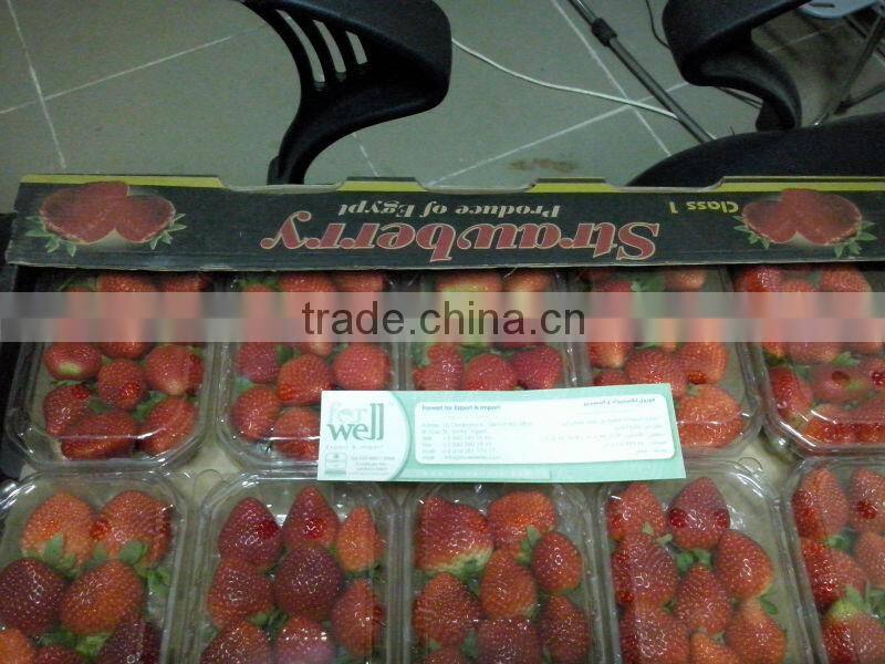 Fresh Strawberry