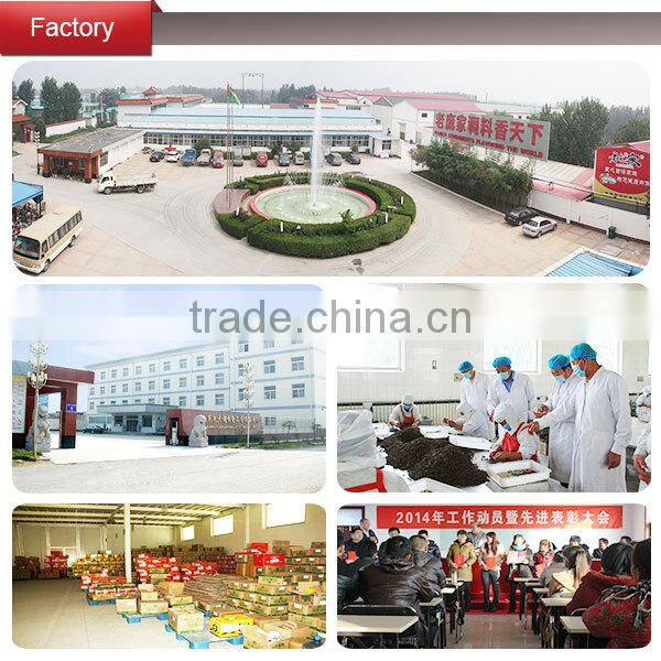 Premium Spice Rack With Wood Stand and Flat Bottom Test Tube