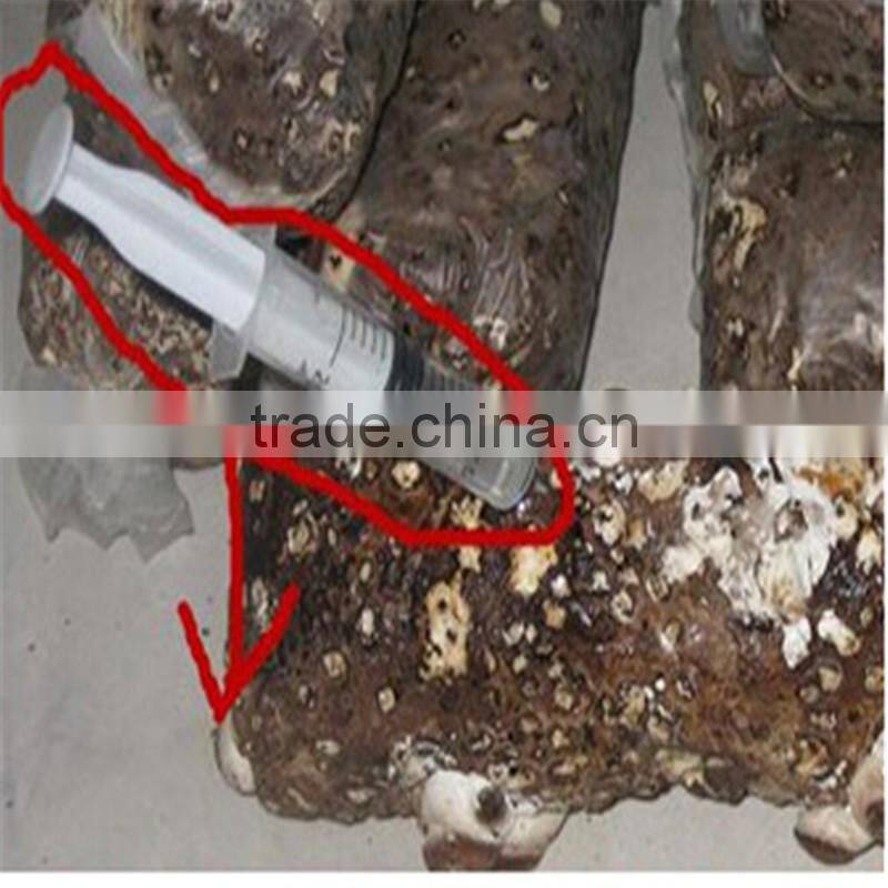 2016 Hot Selling Mushroom Prices,Shitake Mushroom Growing,Mushroom Logs