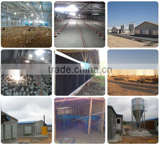 chicken poultry equipment steel frame chicken house for broiler