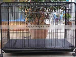 Welded wire bird cage and animal cage for pigeon or parrot or rabbit/pet cage