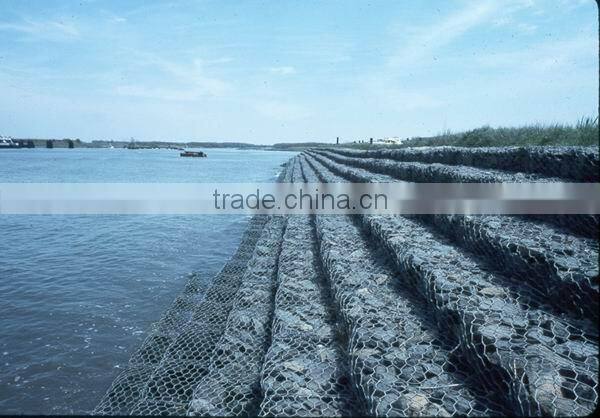 hexagonal wire mesh Manufacturer