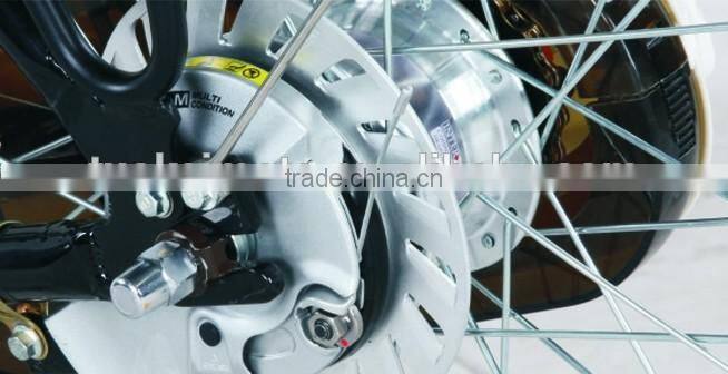 LCD meter Man power bike/250W Electric Bike with inner 3 speeds (TK-EB002A)