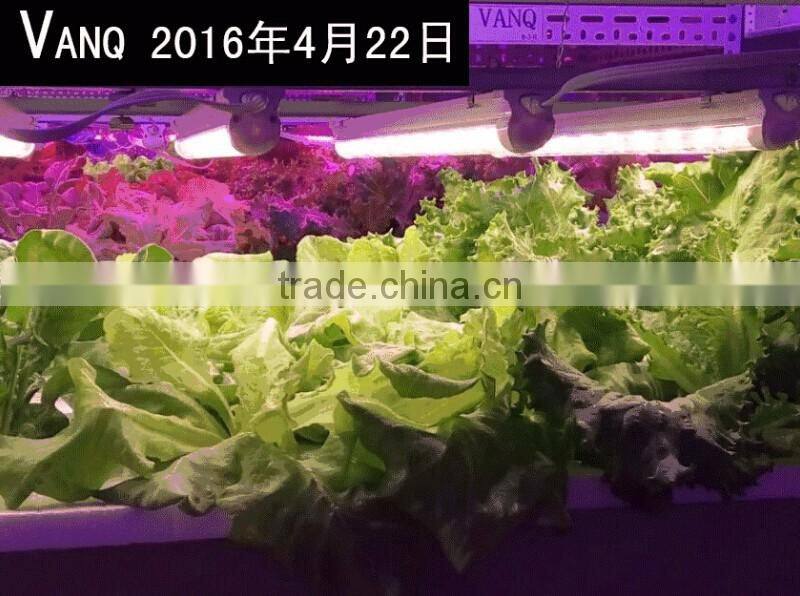 VANQLED indoor horticulture farm LED lighting 30w 4ft with Daisy-chain,CE,RoHS approved