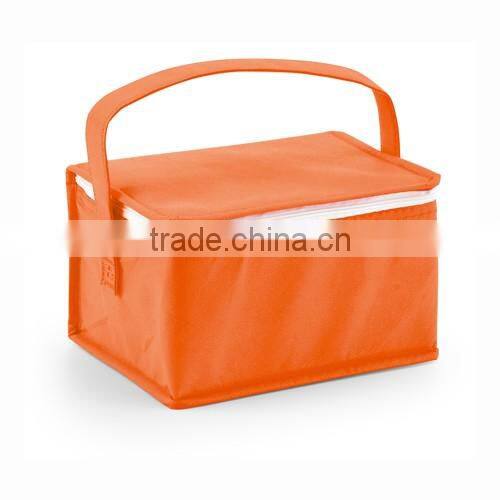 6 cans non-woven foldable cooler bag with handle for promtional