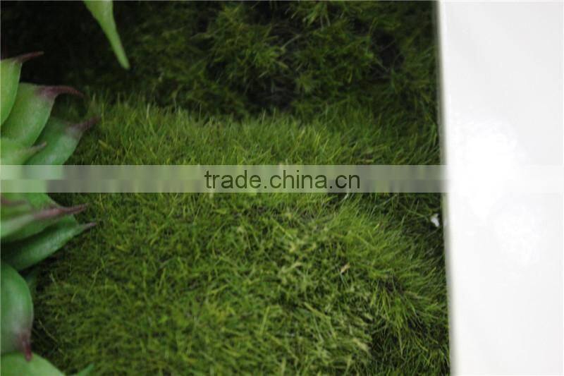 for home garden tiles deco 30*30*7cm paint color indoor artificial succlent boutique plant wall laminate combinations Ejq10 1202