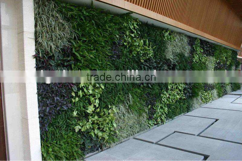 Eco-friendly green wall artificial /fake wall plant for indoor/outdoor decorative