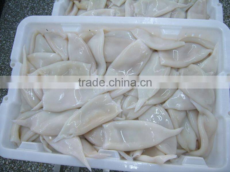 High quality Pacific squid tube (Todarodes Pacificus)