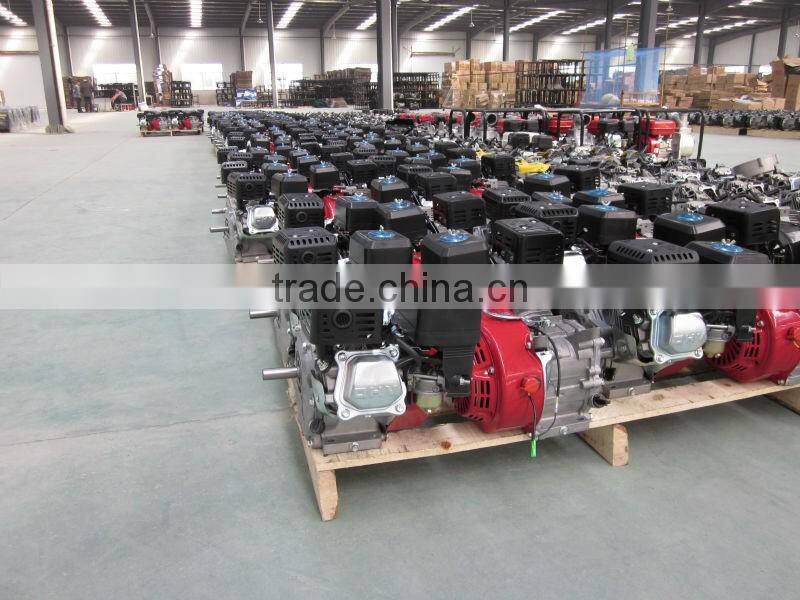Manual 168F Petrol Gasoline Engine Air Cooled 6.5HP