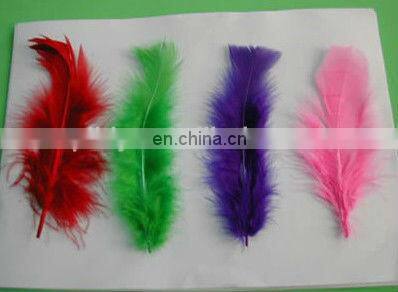 pheasant feather for decorate