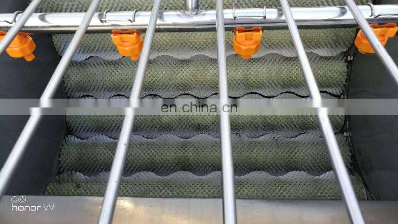 Hot Sale Potato Carrot Onion Carrot Brush Roller Vegetable Washer Peeler Peanut Ginger Cassava Cleaning Fruit Washing Machine