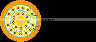 4, 6, 8, 12, 24, 36, 48 Multi-Fiber Breakout Cable (GJBFJY) MM SM G652D G657A Indoor Optical Fiber Cable