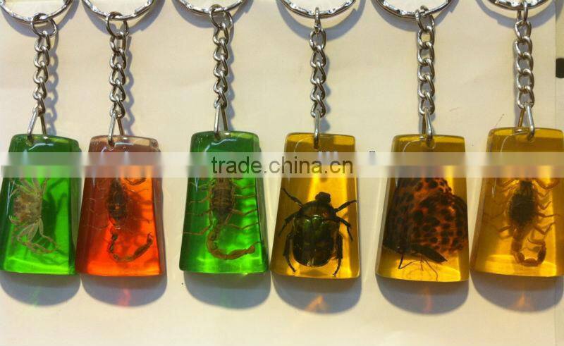 Seashell Accessories,Pecten Shell Keychain,islands Summer fashion beach accessories