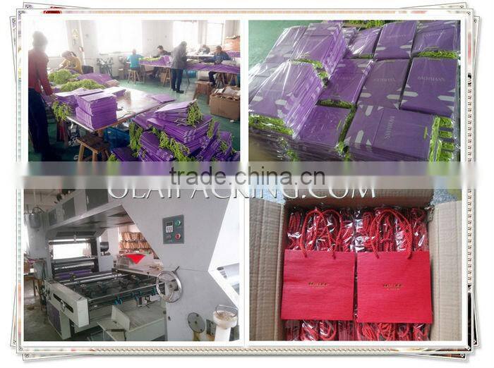 Matt Wholesale Garment Paper Bag with Ribbon