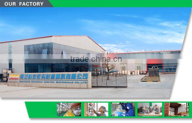 China manufacturer Super heavy Inkjet banner roll for display inkjet media