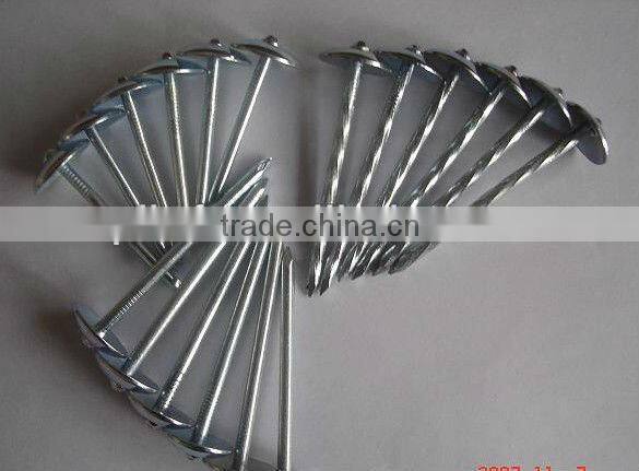 Galvanized Umbrella Head construction roofing wire nails