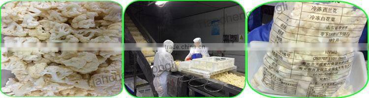 IQF Cauliflower Florets