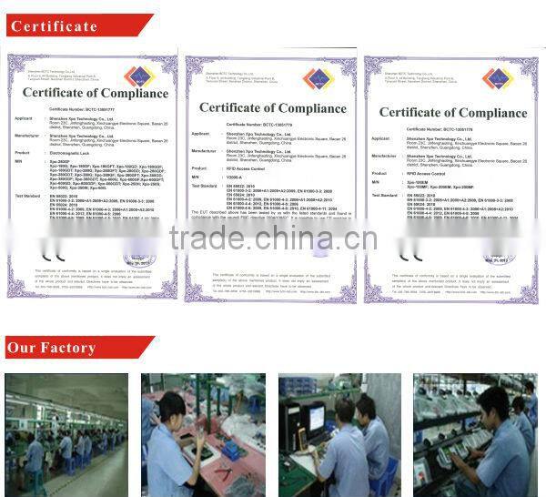 fingerprint lock mechanism key