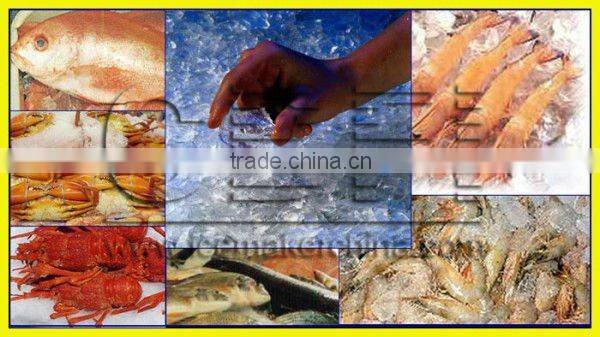 plate ice making machine for storage of aquatic products