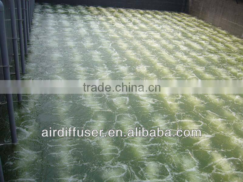 BWT membrane diffusers