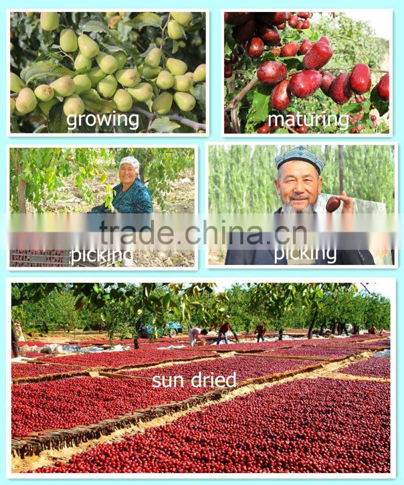 AD dried dried red jujube export of dates jujube fruit