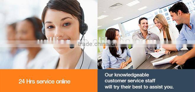 technical pro speaker with USB,SD,FM,Bluetooth WP-8A
