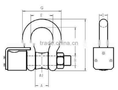 Series Shackle Load Pin
