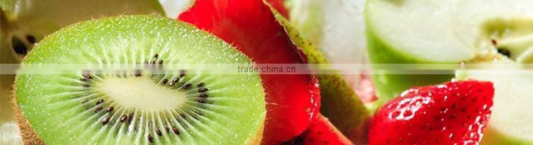 Wholesale IQF frozen Kiwi FruitDice Price