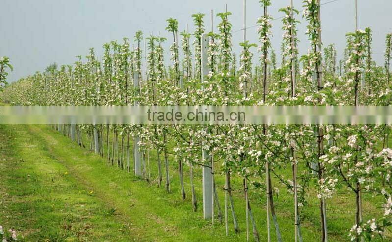 fiberglass stick rod stake flexible fiberglass rod for agriculture for plants vegetables