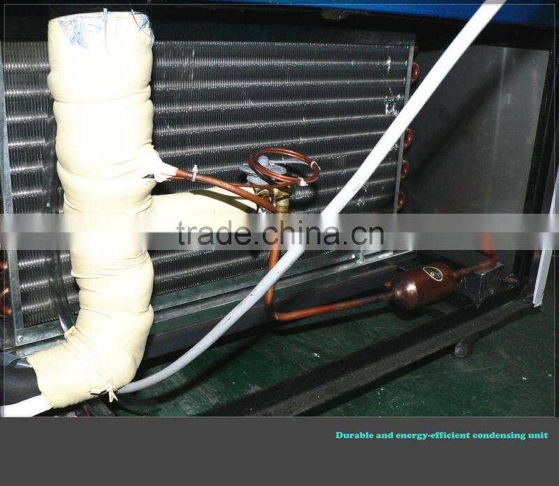 Blast Chiller/Freezer