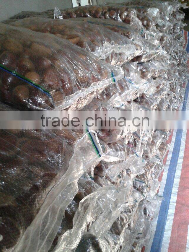 high quality 5kg gunny bag fresh chinese chestnut for Jordan