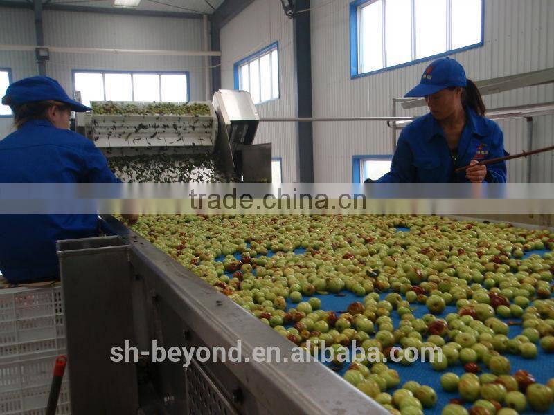 Complete Date Fruit Juice Processing Line